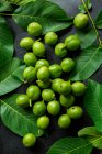 Green walnuts and walnut leaves on a black surface — Stock Photo