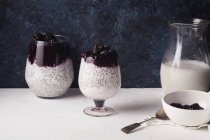 Chia pudding with coconut milk and blackberry smoothie — Foto stock