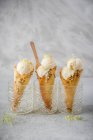 Lemon and elderflower ice cream in homemade waffle cones — Stock Photo