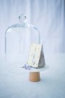 Queso azul junto a una campana de queso - foto de stock