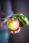 A woman holding an apple with a stem and leaf — Stock Photo