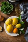 Limón, naranja y hierbas frescas - foto de stock