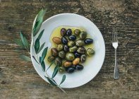 Ein Teller mediterrane Oliven in Olivenöl mit einem Zweig Olivenbaum — Stockfoto