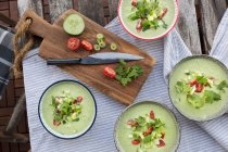Grüner Gazpacho mit Koriander und Tomaten — Stockfoto
