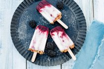 Vegan yogurt and blackberry popsicles — Stock Photo