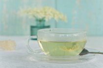 Цветущий бузины чай в чашке с цветком бузины и конфеткой — стоковое фото
