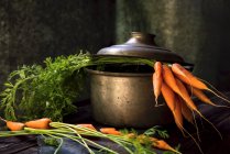 Cenouras frescas em uma panela de cozinha — Fotografia de Stock