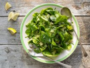 Baby-Spinatsalat mit Zitrone und Minze — Stockfoto