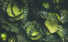 Raw fresh green savoy cabbage — Stock Photo