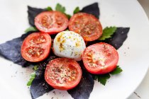 Tomatoes, mozzarella and purple basil with spices — Stock Photo