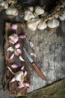 Bulbi di aglio aperti su corteccia di albero e ghirlanda di aglio su superficie rustica di legno — Foto stock