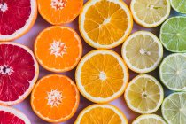 Slices of various citrus fruits — Stock Photo
