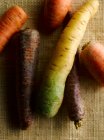 Different carrot varieties on a jute cloth — Stock Photo
