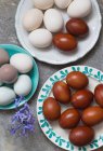 Various coloured eggs on plates — Stock Photo