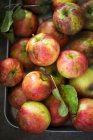 Manzanas frescas en un plato para hornear - foto de stock