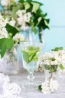 Bicchiere di bevanda con foglie di menta circondato da fiori — Foto stock