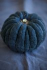 Close up of fresh ripe pumpkin — Stock Photo
