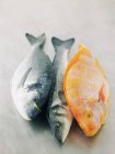 Gilt head seabream, sea bass and tilapia — Stock Photo