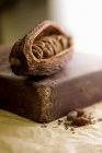 Frijoles de cacao y una losa de chocolate - foto de stock