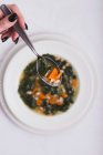 Zuppa di cavolo con carote e fagioli — Foto stock