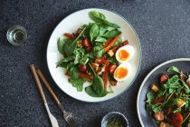 Свежий салат с жареным сыром, жареной морковью, помидорами черри и тыквенными семечками — стоковое фото
