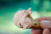 Gros plan de délicieux foie pt sur un morceau de pain — Photo de stock