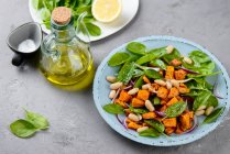 Süßkartoffelsalat mit weißen Bohnen und Spinat — Stockfoto