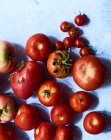 Various freshly harvested tomatoes (seen from above) — Stock Photo