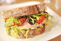 Sandwich Mayo au maquereau avec tomate séchée, olives, oignons rouges et salade — Photo de stock