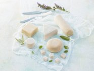 Diferentes tipos de queso vegano: queso de nuez de macadamia, queso de nuez de pacana y queso de nuez de anacardo - foto de stock