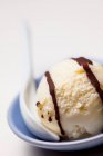 Uma colher de sorvete caseiro com molho de chocolate — Fotografia de Stock