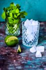 Lime, mint and ice in a crystal glass for mojito — Stock Photo