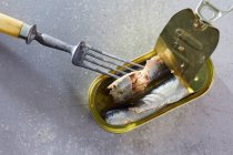 Una scatola di sardine con una forchetta — Foto stock