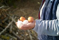 Руки, що тримають свіжі курячі яйця — стокове фото