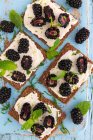 Vegan cream cheese with blackberries on a rye crisp bread — Stock Photo