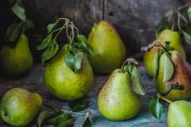 La cosecha de peras - foto de stock
