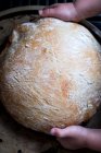 Свіжий хлібний хліб у дитячих руках — стокове фото