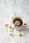 Ромашковий чай з квітами ромашки в чашці — стокове фото