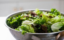 Verschiedene Salatblätter — Stockfoto