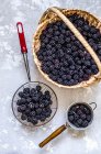 Fresh blackberries in basket and sieves on concrete background — Stock Photo
