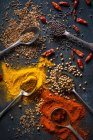 Spezie indiane secche, cumino, peperoncino, coriandolo, semi di senape su una tavola nera — Foto stock