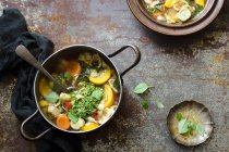 Sopa minestrone de verano con calabaza, zanahoria, tomates, pesto de albahaca, habas y cáscaras de pasta - foto de stock
