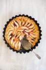 Домашній яблучний пиріг з корицею та анісом — стокове фото