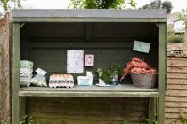 Bandejas de huevos de gallina fresca en un pequeño puesto de autoservicio en el país - foto de stock