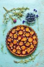 Пиріг зі сливами та лісовими горіхами на синьому фоні з гербарієм та свіжою чорницею — стокове фото