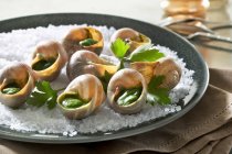 Snails with herb butter on a bed of salt — Stock Photo