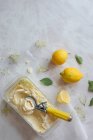 Helado de limón y flor de saúco con una cucharada de helado - foto de stock