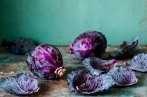 Repollo violeta con hojas - foto de stock