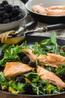 Rocket salad with blackberries, roasted salmon fillet and pine nuts — Stock Photo