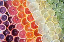 Brightly colored citrus fruit slices in rows — Stock Photo